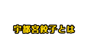 宇都宮餃子とは